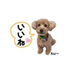 ku〜のスタンプ1（個別スタンプ：7）