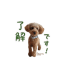 ku〜のスタンプ1（個別スタンプ：11）