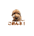 ku〜のスタンプ1（個別スタンプ：15）