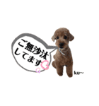 ku〜のスタンプ1（個別スタンプ：20）