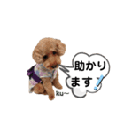 ku〜のスタンプ1（個別スタンプ：22）