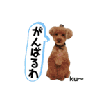 ku〜のスタンプ1（個別スタンプ：25）