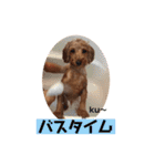 ku〜のスタンプ1（個別スタンプ：26）