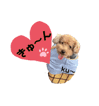 ku〜のスタンプ1（個別スタンプ：30）