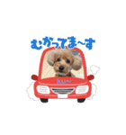 ku〜のスタンプ1（個別スタンプ：33）