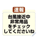 実用的なメモ/公告する/お知らせ/報告/情報（個別スタンプ：20）