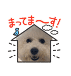 チャチャ クー ムー愉快な3匹（個別スタンプ：16）