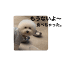 チャチャ クー ムー愉快な3匹（個別スタンプ：22）