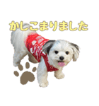 チッチロ3（個別スタンプ：3）