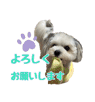 チッチロ3（個別スタンプ：4）