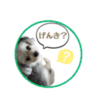 チッチロ3（個別スタンプ：15）