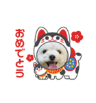 チッチロ3（個別スタンプ：16）