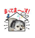 チッチロ3（個別スタンプ：28）