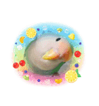 可愛いインコズ（個別スタンプ：13）