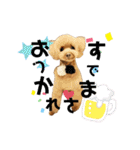 ポメシーチワシートイプー家族♡（個別スタンプ：29）