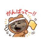 毛玉怪獣つな猫スタンプ1（個別スタンプ：1）