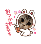 毛玉怪獣つな猫スタンプ1（個別スタンプ：5）
