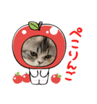 毛玉怪獣つな猫スタンプ1（個別スタンプ：6）