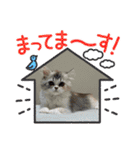 毛玉怪獣つな猫スタンプ1（個別スタンプ：10）