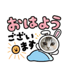 毛玉怪獣つな猫スタンプ1（個別スタンプ：12）