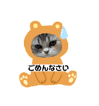 毛玉怪獣つな猫スタンプ1（個別スタンプ：13）