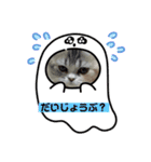 毛玉怪獣つな猫スタンプ1（個別スタンプ：16）