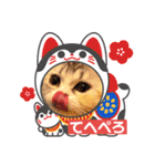 毛玉怪獣つな猫スタンプ1（個別スタンプ：20）
