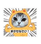 毛玉怪獣つな猫スタンプ1（個別スタンプ：21）