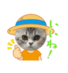 毛玉怪獣つな猫スタンプ1（個別スタンプ：22）