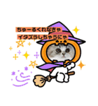 毛玉怪獣つな猫スタンプ1（個別スタンプ：23）