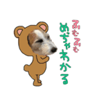 ラッシーめんこちゃん（個別スタンプ：4）