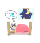 ラッシーめんこちゃん（個別スタンプ：6）