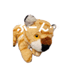 とらのことらこ②（個別スタンプ：1）