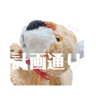 とらのことらこ②（個別スタンプ：3）