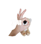 とらのことらこ②（個別スタンプ：10）