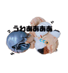 とらのことらこ②（個別スタンプ：18）