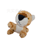 とらのことらこ②（個別スタンプ：22）