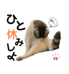 スタンプ絵夢くん【vol.2】（個別スタンプ：7）