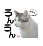 スタンプ絵夢くん【vol.2】（個別スタンプ：8）