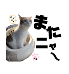 スタンプ絵夢くん【vol.2】（個別スタンプ：16）