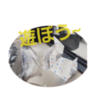 レシート犬3（個別スタンプ：2）