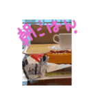 レシート犬3（個別スタンプ：6）