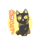 サビ猫さんご（個別スタンプ：1）