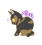 サビ猫さんご（個別スタンプ：3）