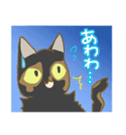 サビ猫さんご（個別スタンプ：8）