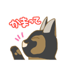 サビ猫さんご（個別スタンプ：9）