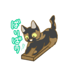 サビ猫さんご（個別スタンプ：11）