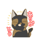 サビ猫さんご（個別スタンプ：12）