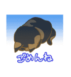サビ猫さんご（個別スタンプ：13）