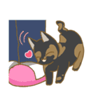 サビ猫さんご（個別スタンプ：23）
